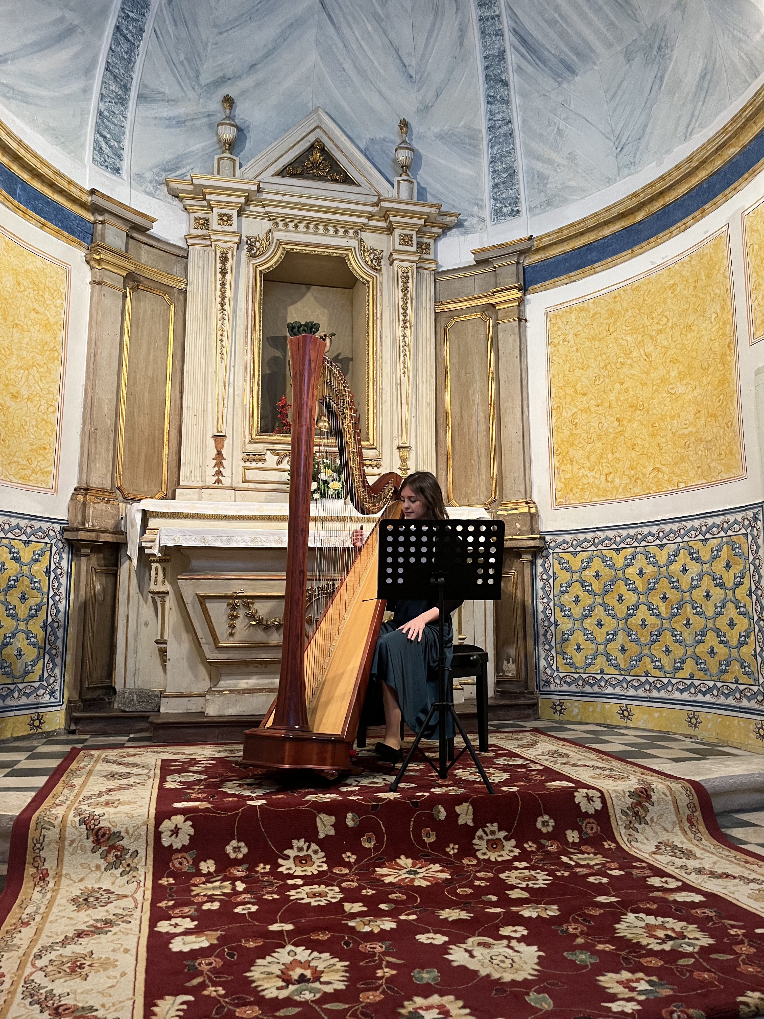Foto do concerto - close da harpista
